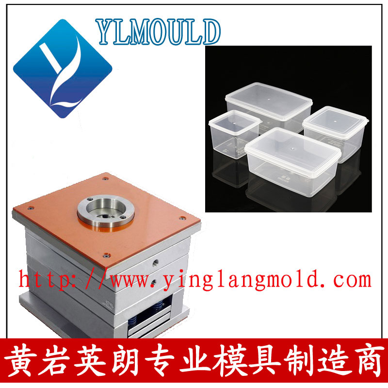 Commodity Mould/Crisper Mould 09