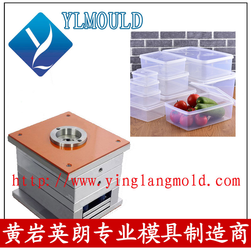 Commodity Mould/Crisper Mould 07