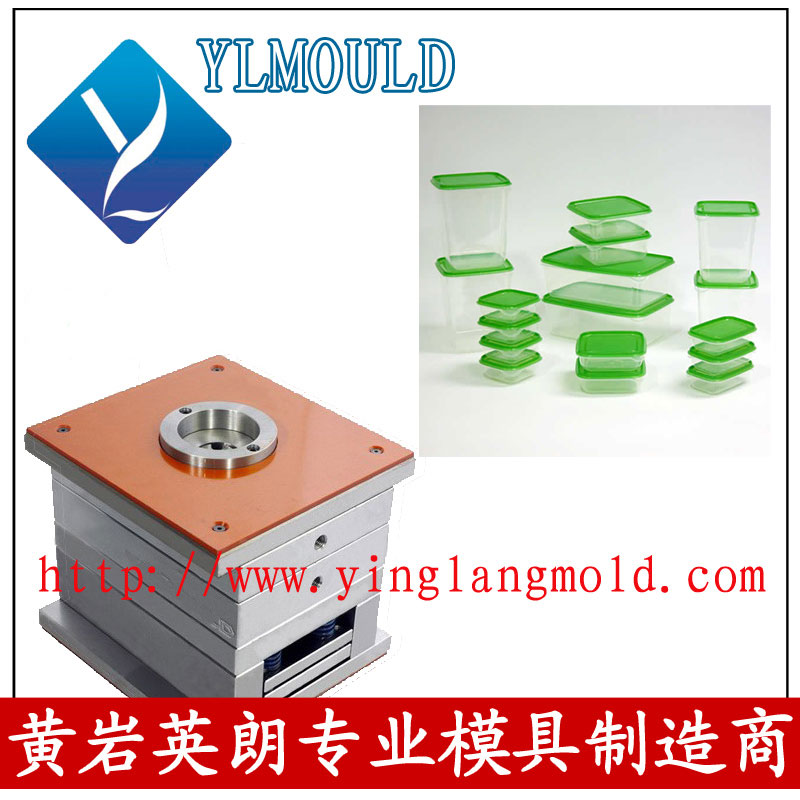 Commodity Mould/Crisper Mould 02