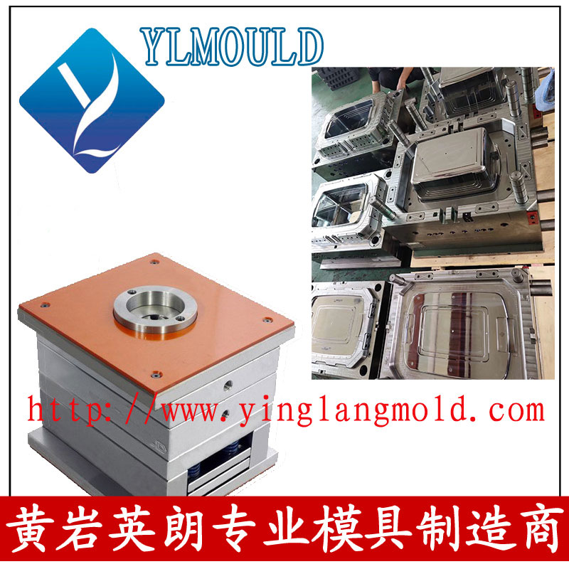 Commodity Mould/Crisper Mould 17