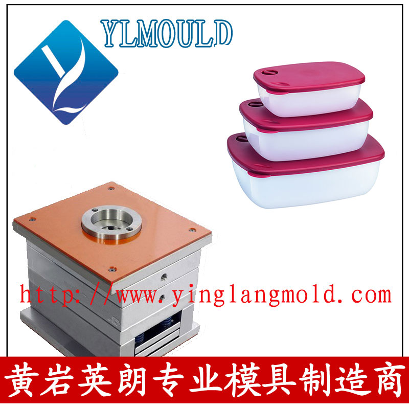 Commodity Mould/Crisper Mould 03